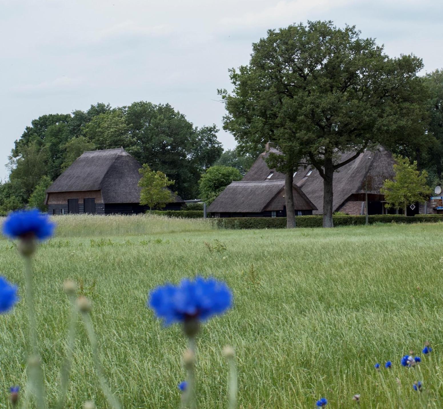 Gastenverblijf Lheederhof Lodge 3 Dwingeloo Bagian luar foto