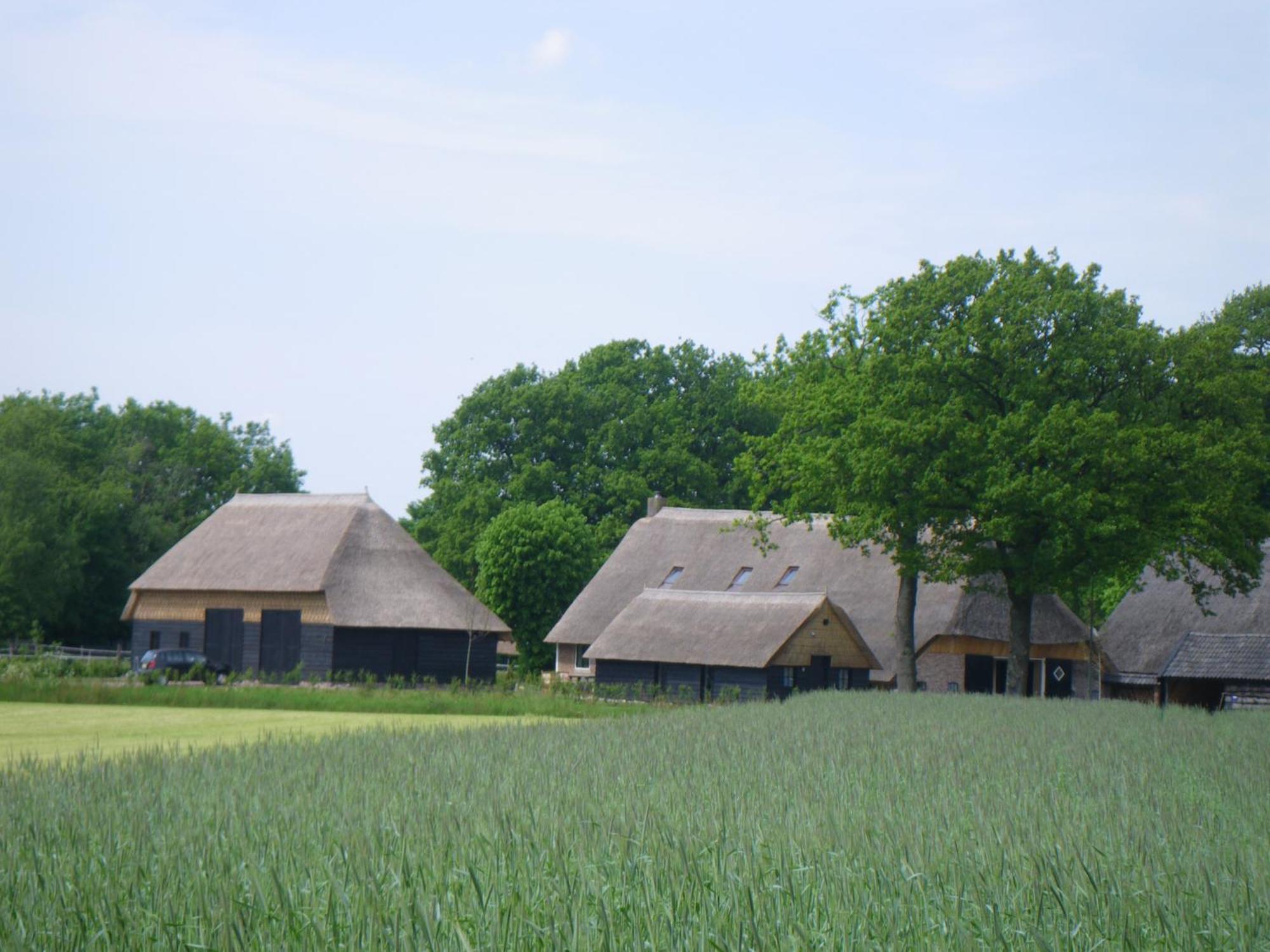 Gastenverblijf Lheederhof Lodge 3 Dwingeloo Bagian luar foto